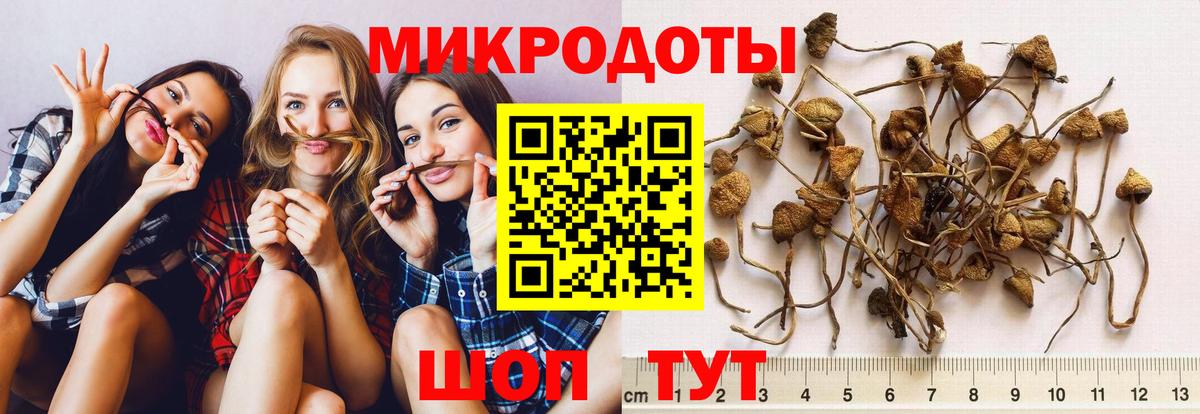 Галлюциногенные грибы Magic Shrooms  Вход с VPN  Нефтекумск 