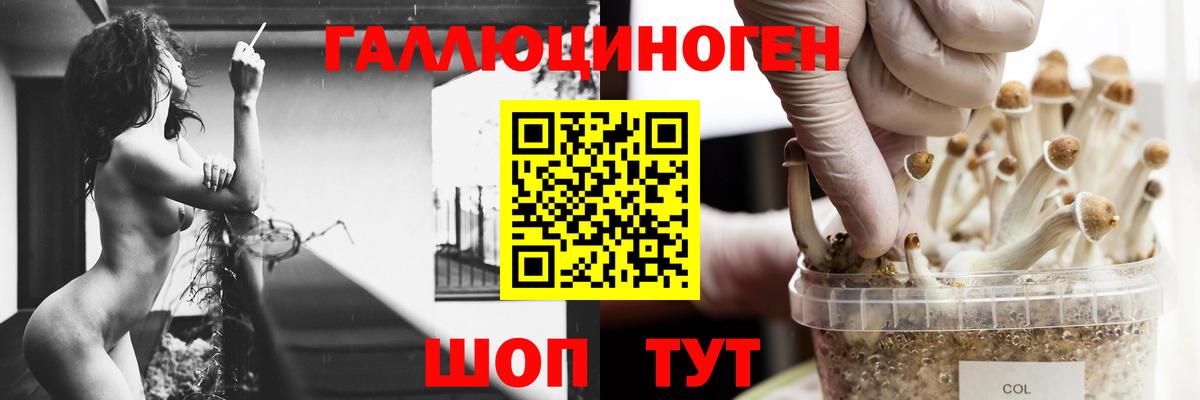Галлюциногенные грибы Magic Shrooms Нефтекумск
